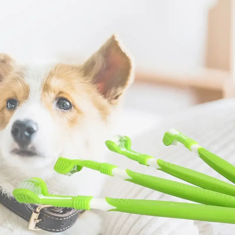 Snoutik Three‑Sided Pet Toothbrush