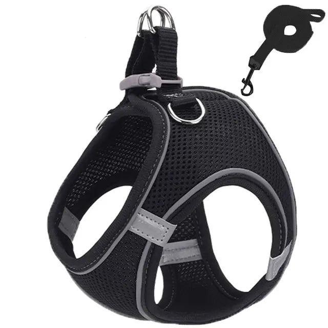 Snoutik Reflective Harness & Leash Set