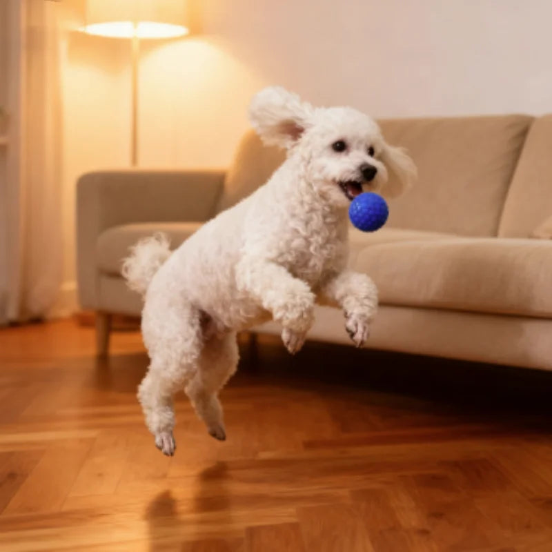 Snoutik Indestructible Rubber Dog Ball