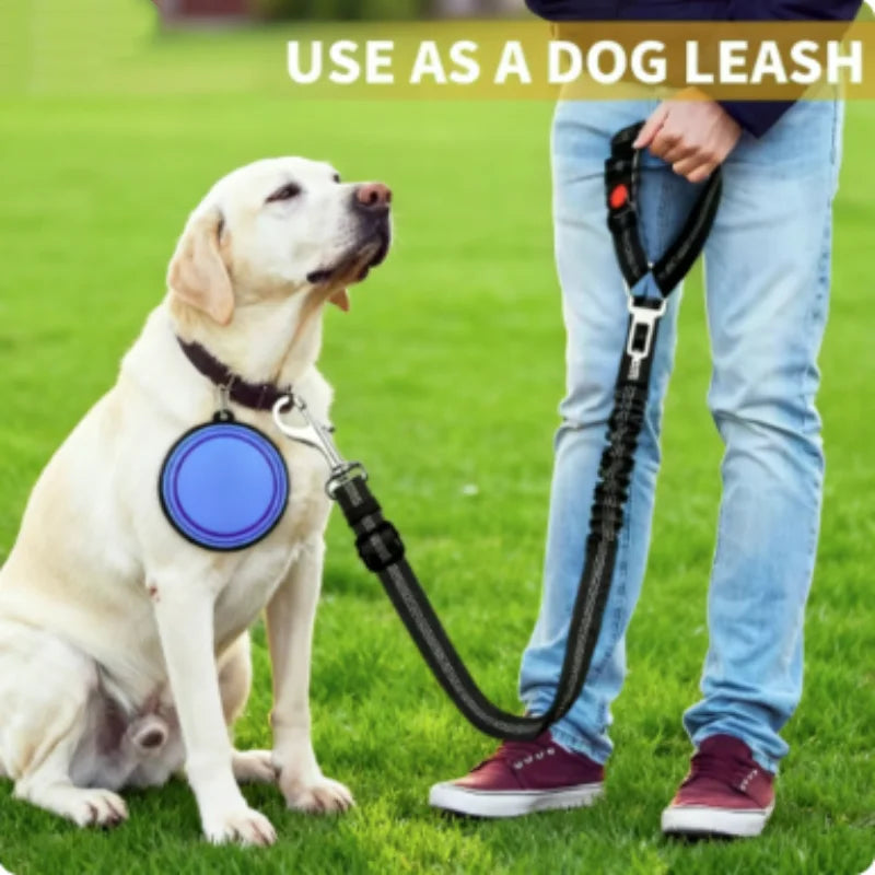 Snoutik Reflective Pet Car Harness & Leash