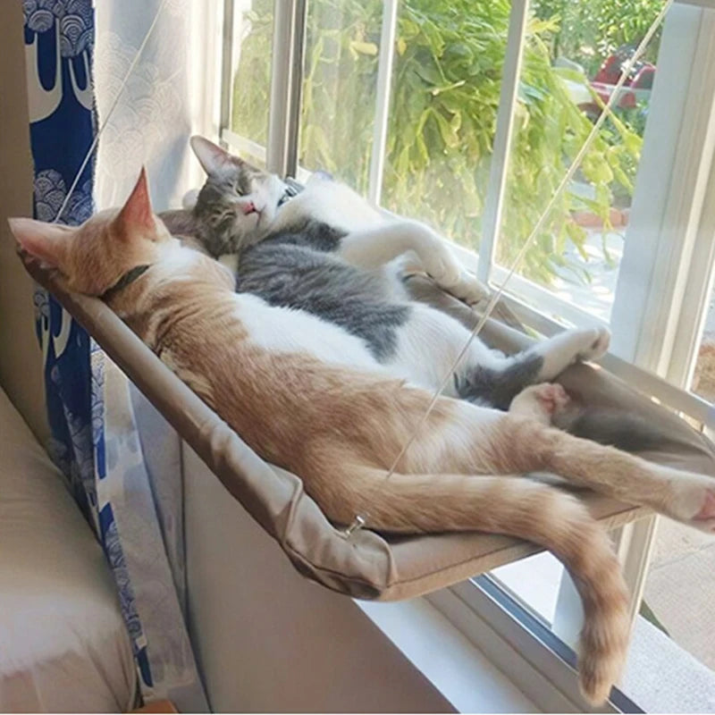 Cute cat hammock