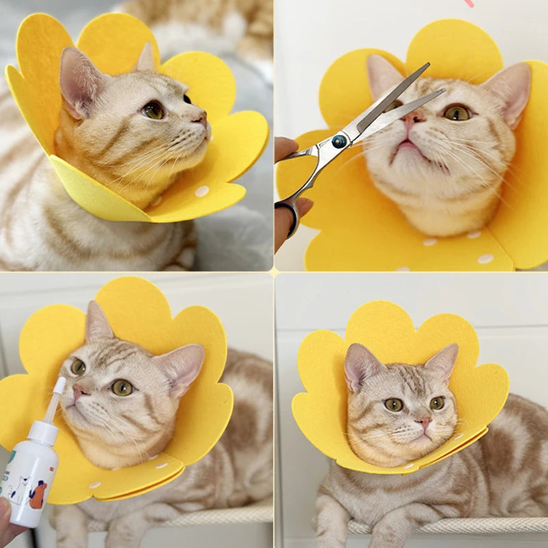 Snoutik Pet Recovery Cone Collar