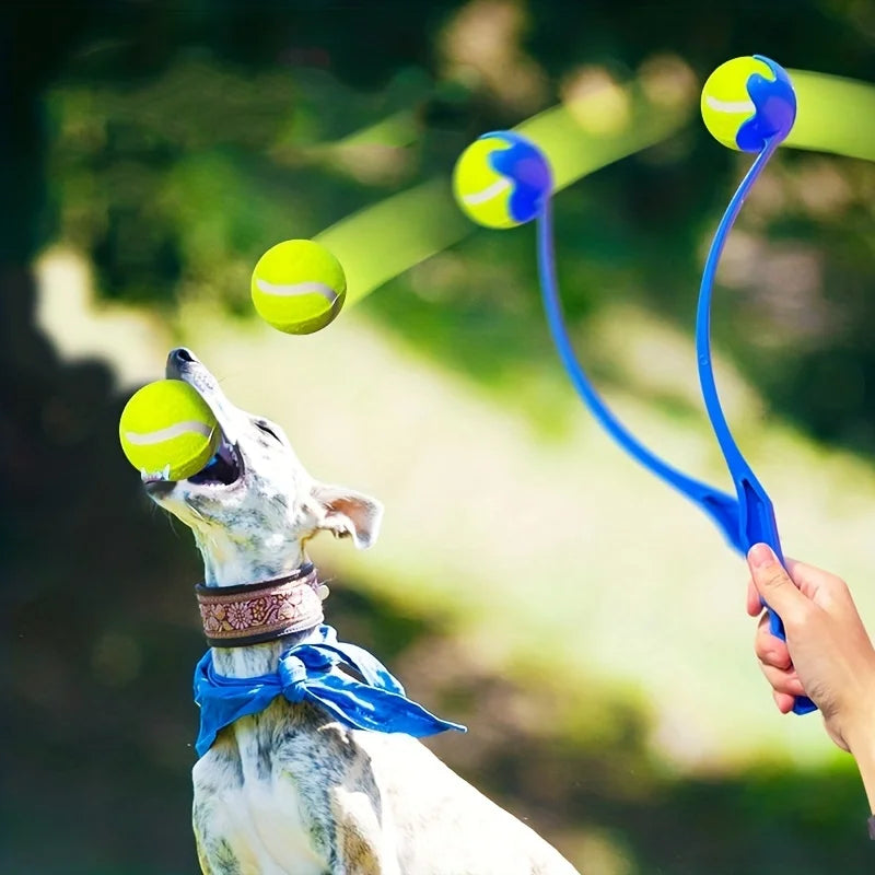 Snoutik ball Throwing Stick