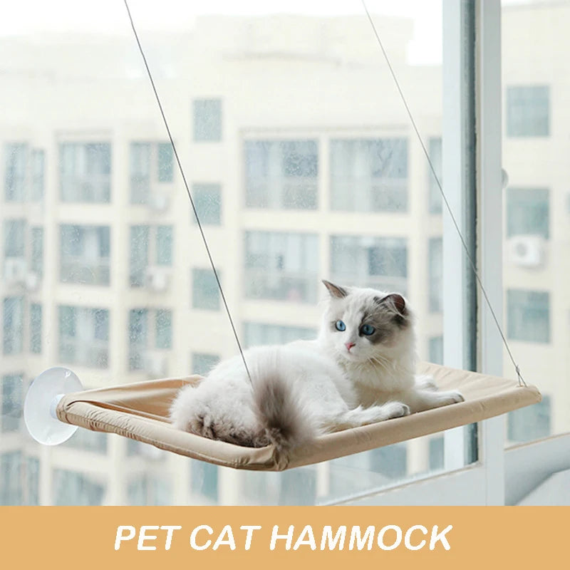 Cute cat hammock