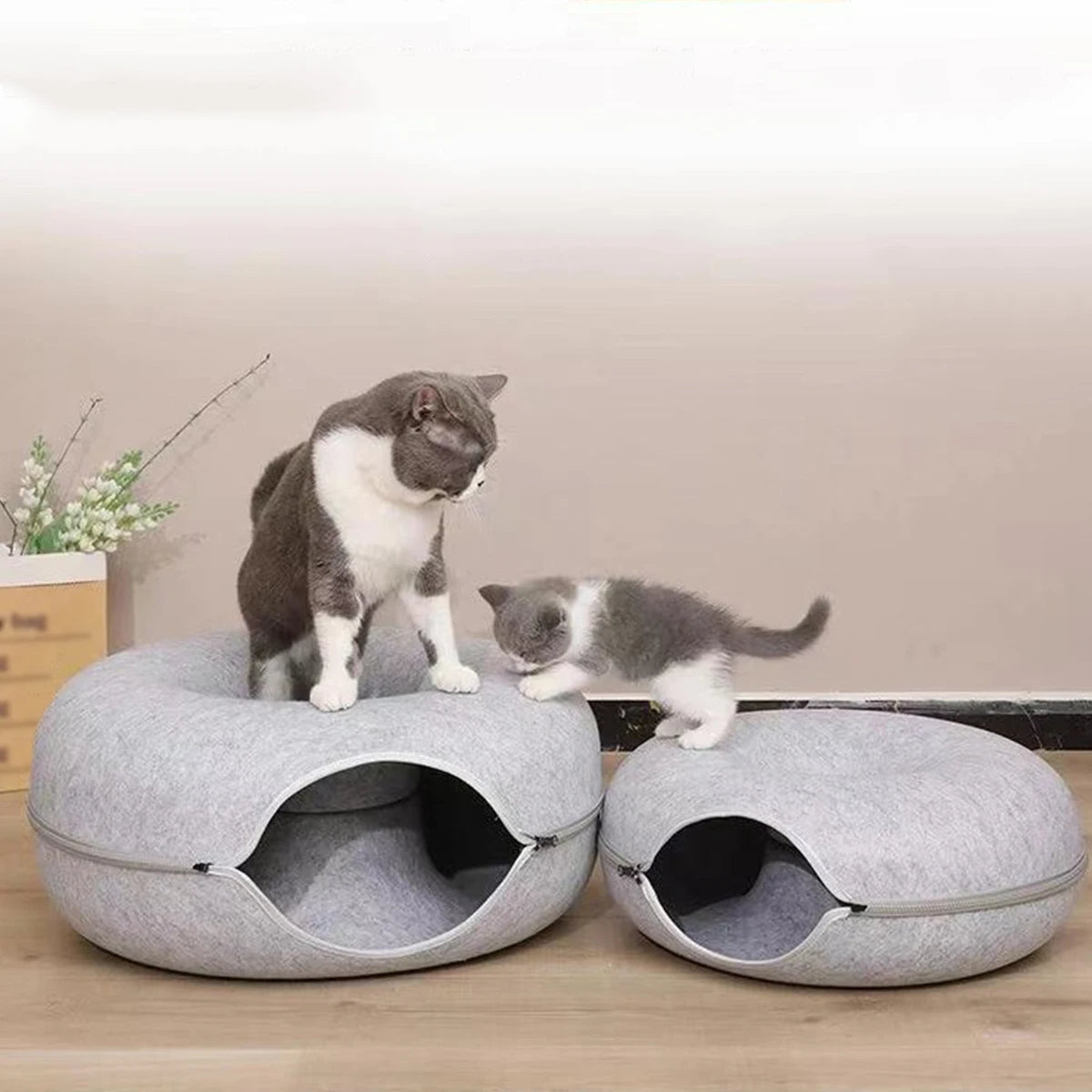 Snoutik Donut Cat Tunnel