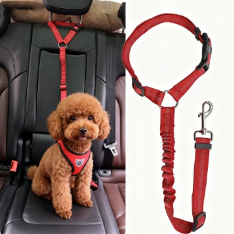 Snoutik Reflective Pet Car Harness & Leash