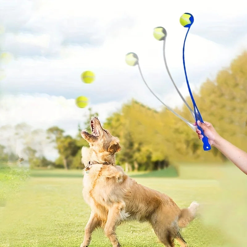 Snoutik ball Throwing Stick
