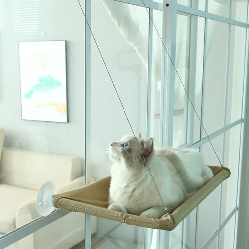 Cute cat hammock