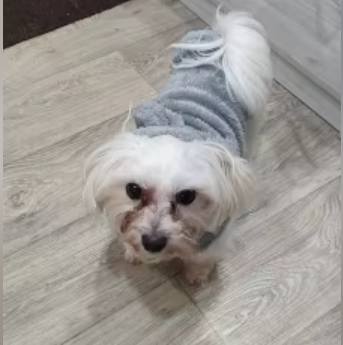 Fashionable and fits well