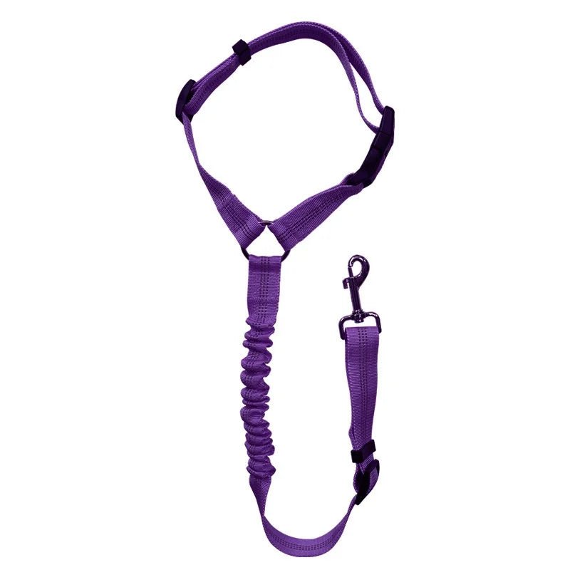 Snoutik Reflective Pet Car Harness & Leash - Snoutik pet store