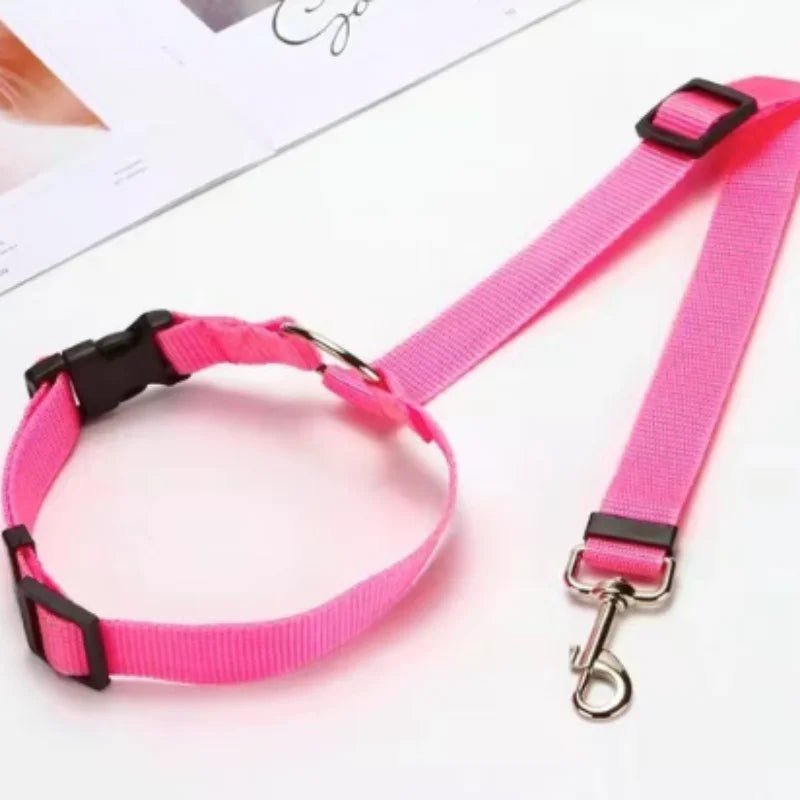 Snoutik Reflective Pet Car Harness & Leash - Snoutik pet store