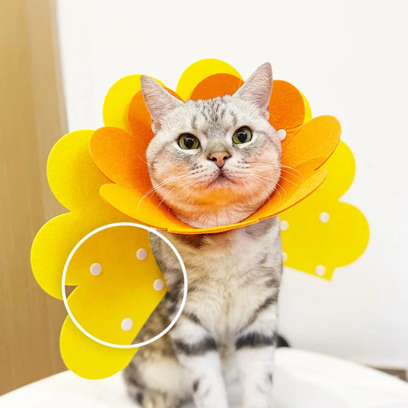 Snoutik Pet Recovery Cone Collar