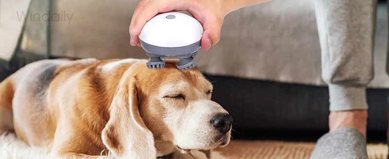 Snoutik Electric Pet Massager