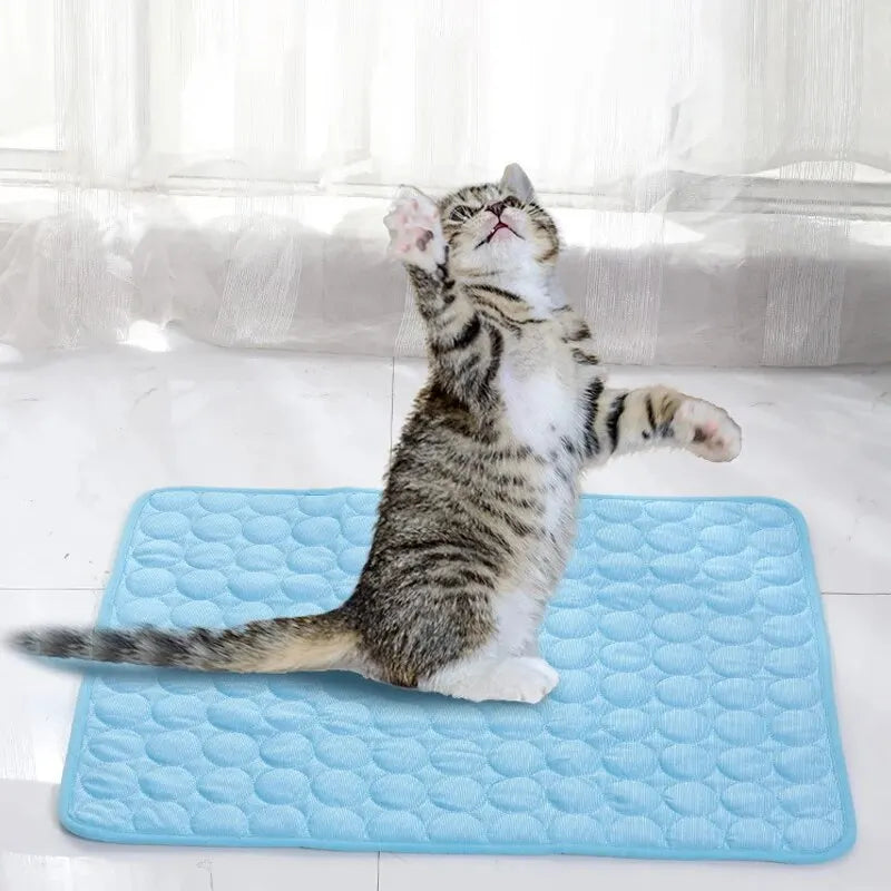 Snoutik IceCool Pet Mat