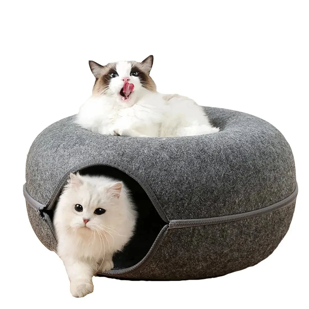 Snoutik Donut Cat Tunnel