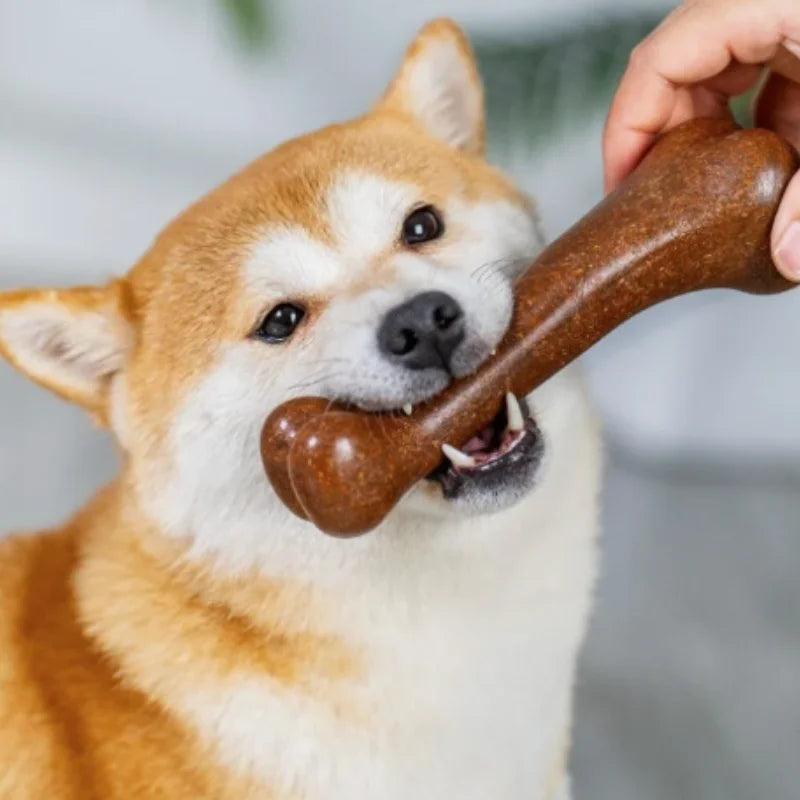 Snoutik Natural Wooden Dog Chew Bone