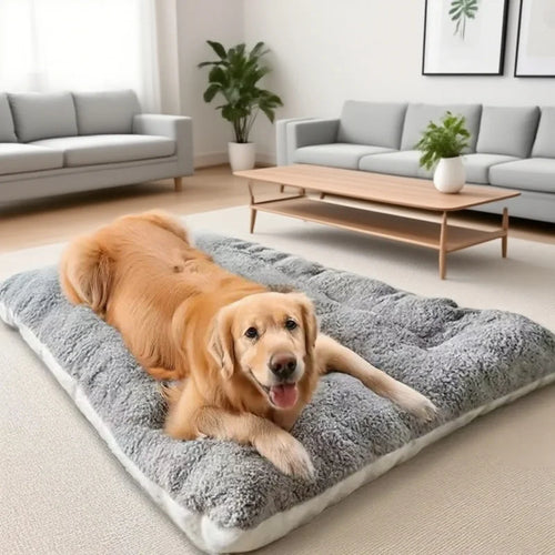 Cloud Comfort Reversible Pet Bed