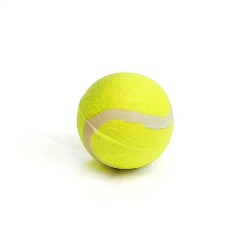 Snoutik ball Throwing Stick