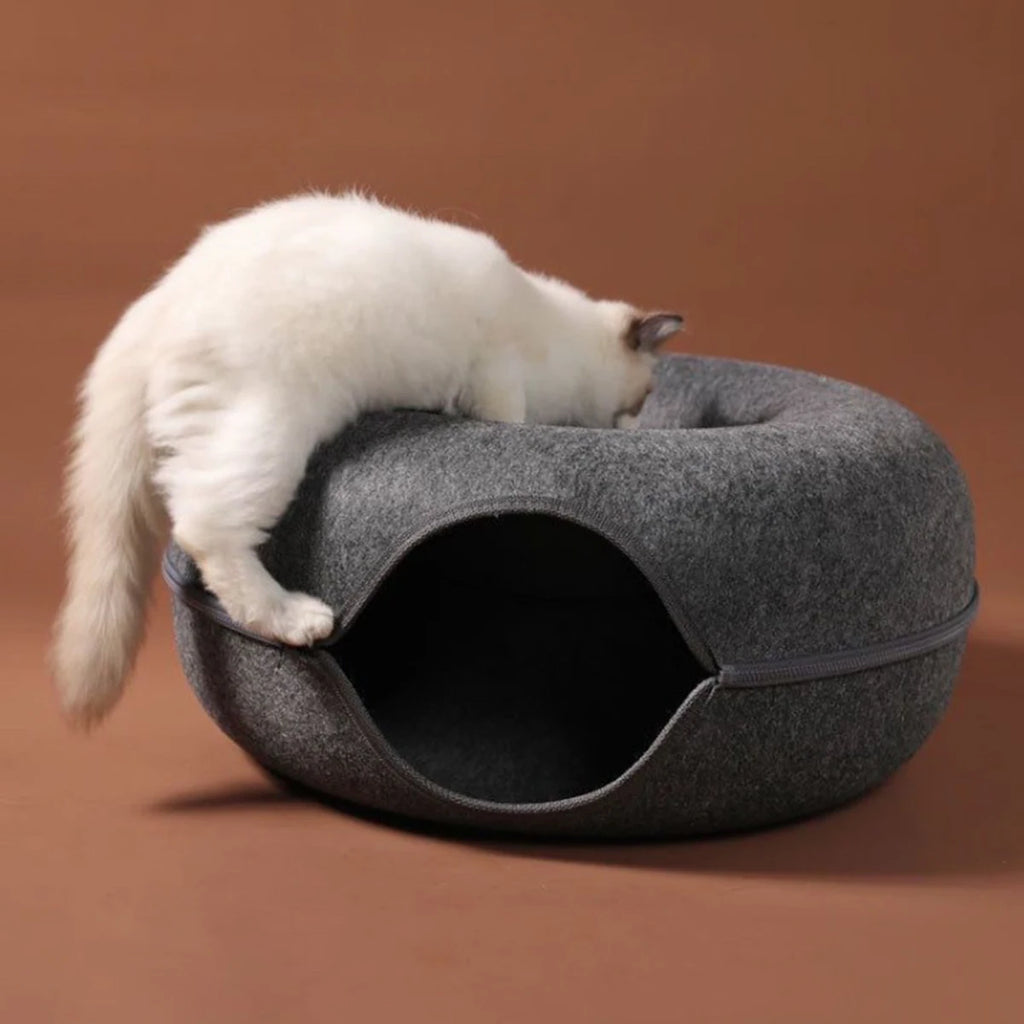 Snoutik Donut Cat Tunnel